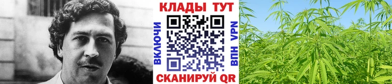 Сколько стоит Томск Alpha-PVP  Меф  ГАШ  МАРИХУАНА 